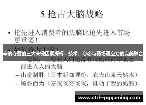 辛纳夺冠的三大关键因素探析:技术、心态与赛场适应力的完美融合 辛纳夺冠的三大关键因素探析:技术、心态与赛场适应力的完美融合